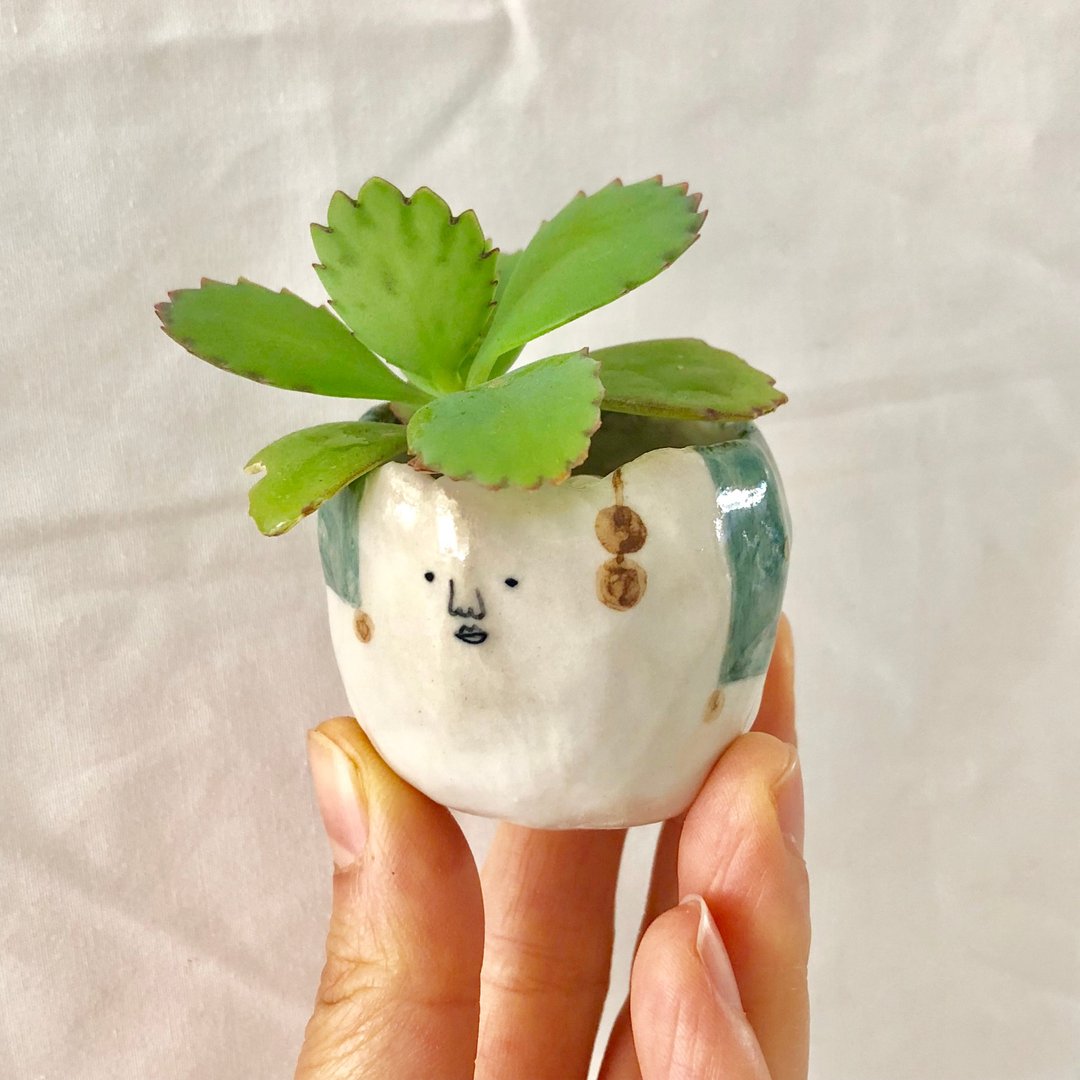 小头小盆栽--办公桌小植物 - 植栽/盆栽 - 陶 