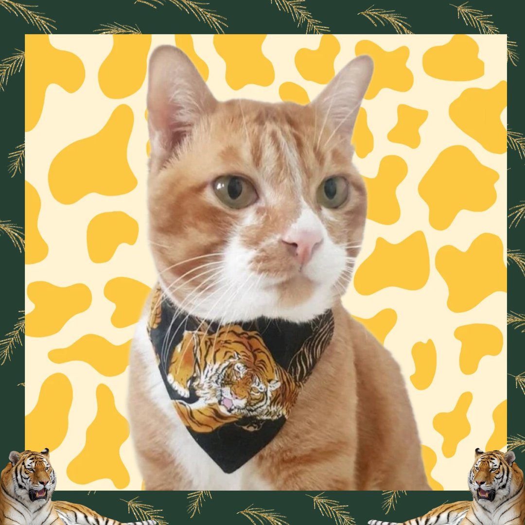 Tiger japanese style Bandana Cat Collar with Breakaway Safety Buckle - 项圈/牵绳 - 棉 黑色