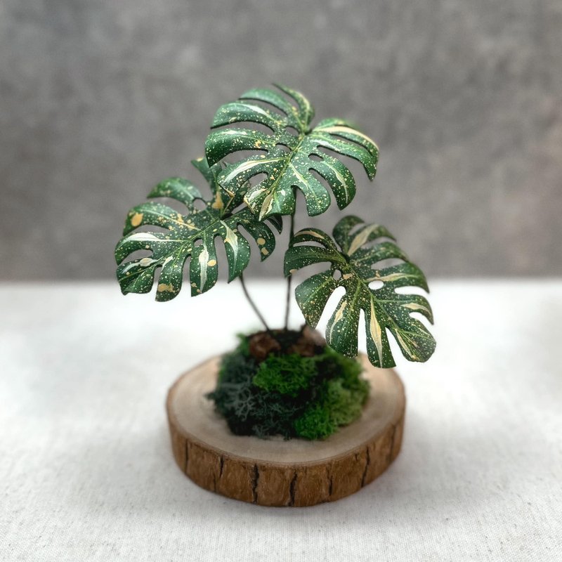 泰斑龟背芋－手工革制植物  地植系列 - 植栽/盆栽 - 真皮 