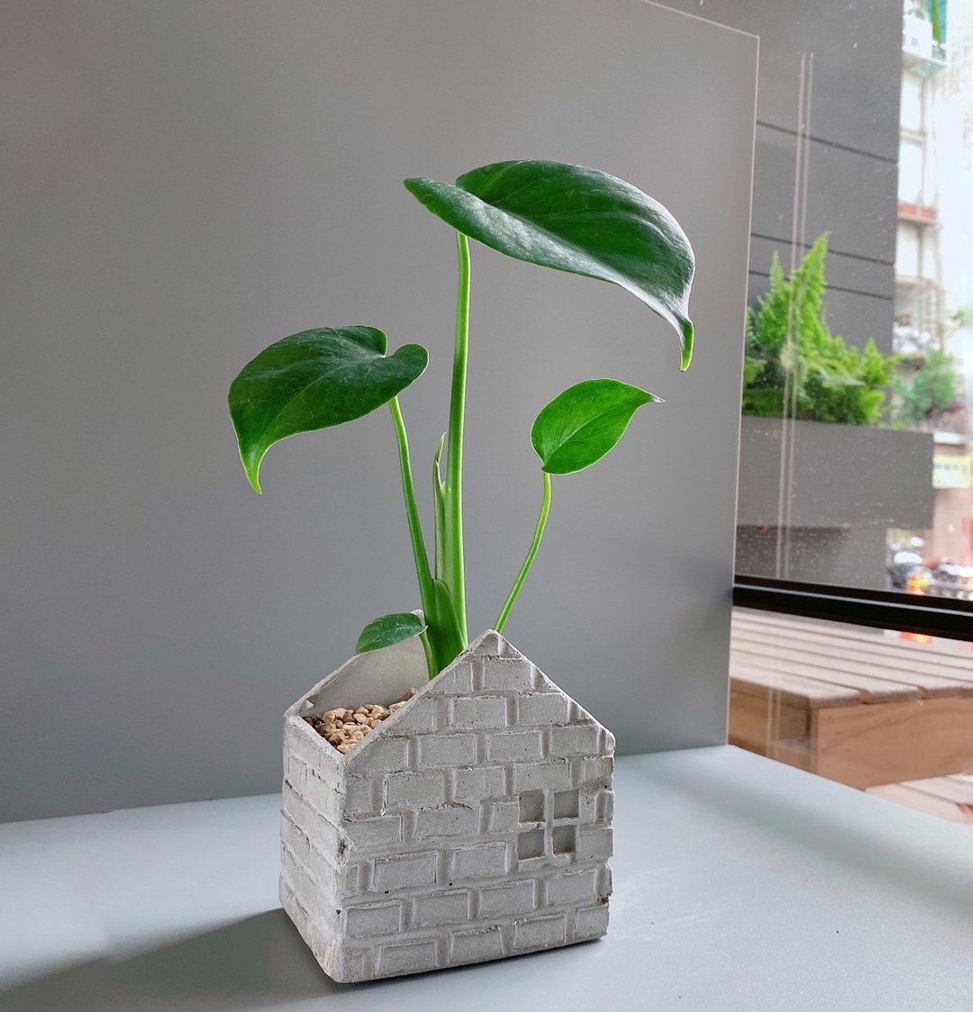 【泥の小屋-水泥盆器】Cement house plant pot - 植栽/盆栽 - 水泥 灰色