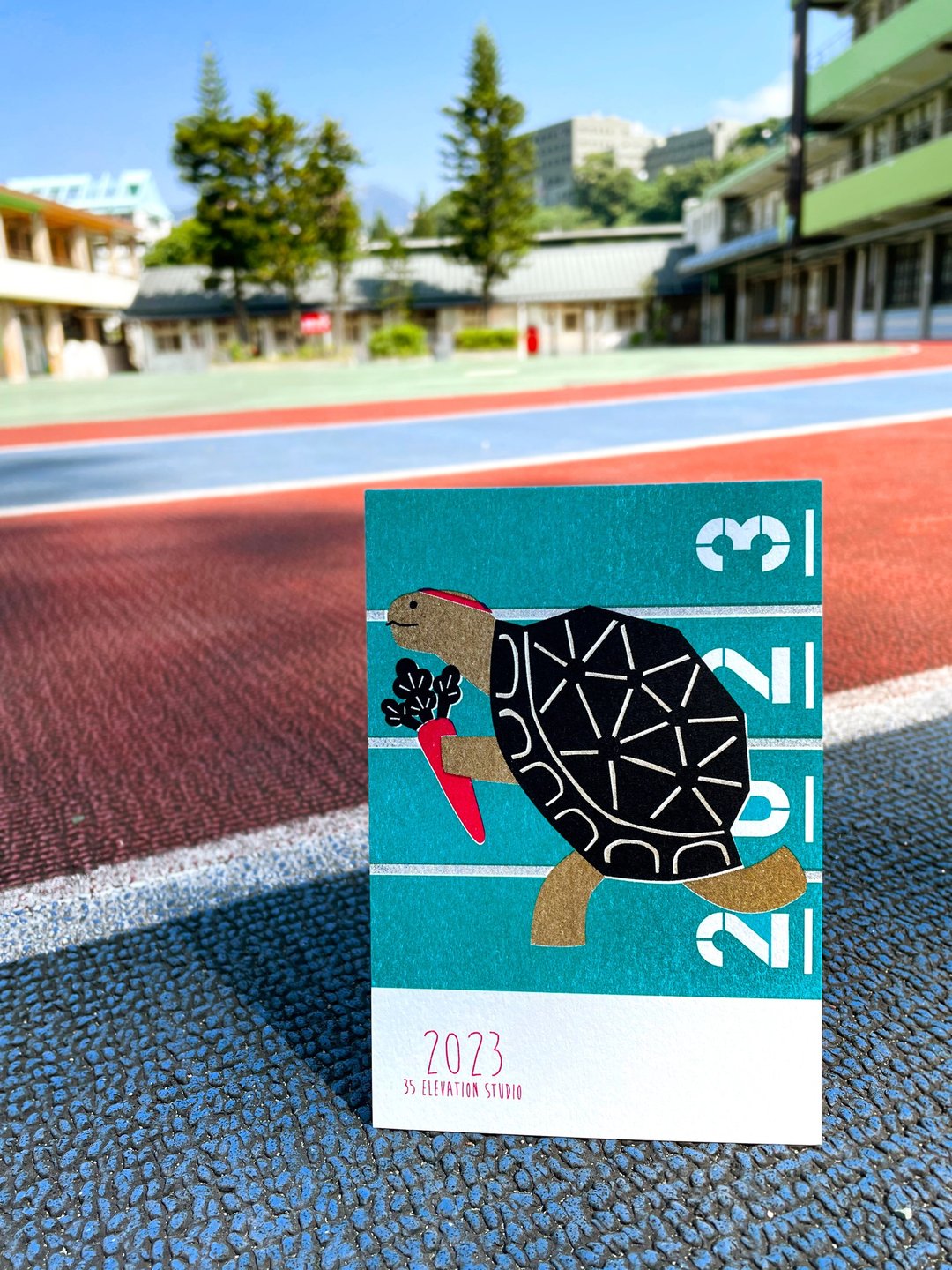 2023明信片_乌龟 - 卡片/明信片 - 纸 