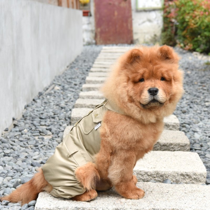 经典卡其宠物学生制服-男生裤装【ZAZAZOO】 - 衣/帽 - 棉．麻 卡其色