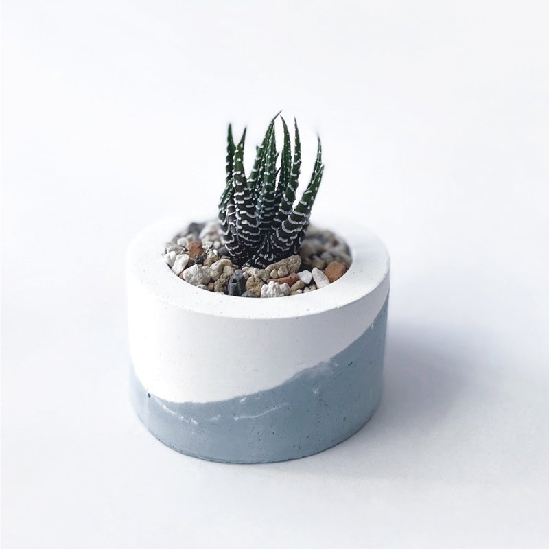 (现货) 莫兰迪蓝系列 | 十二之卷 小圆形渐层水泥多肉植栽 - 植栽/盆栽 - 植物．花 蓝色