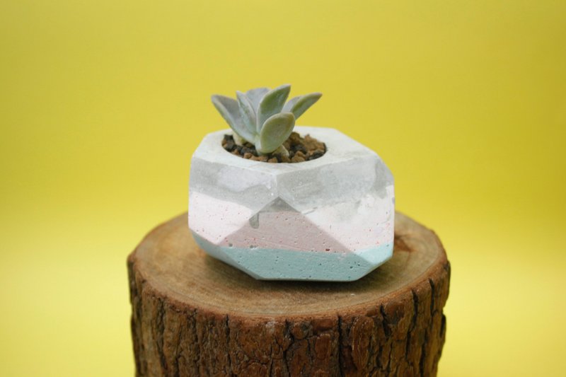 〖秋鱼手作工坊 〗 水泥植栽×多肉植物 ＿长方几何 ░ 灰 粉红 粉绿 ░ - 植栽/盆栽 - 水泥 多色