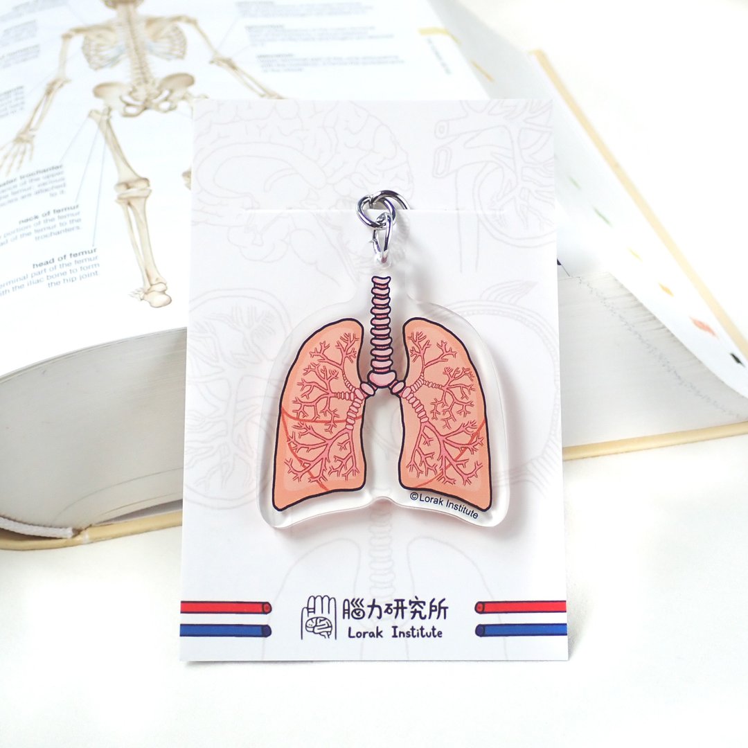 肺部 器官 内脏锁匙扣  钥匙圈科学 毕业 - 钥匙链/钥匙包 - 塑料 