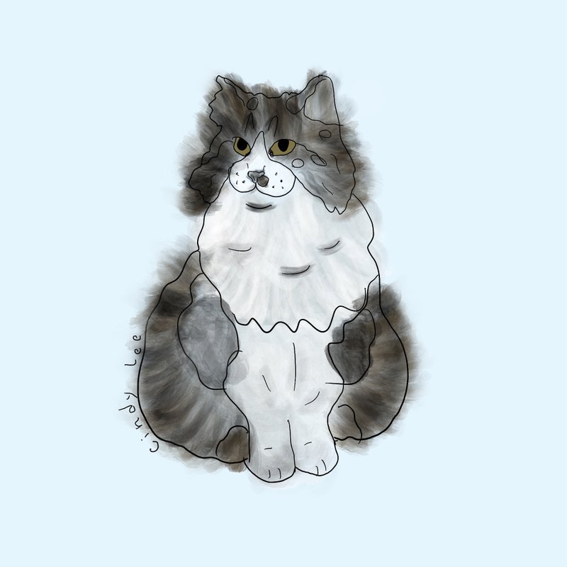 Ugly Pets 丑颜绘 - 电子手绘真人画像/绘画/插画 - 纸 