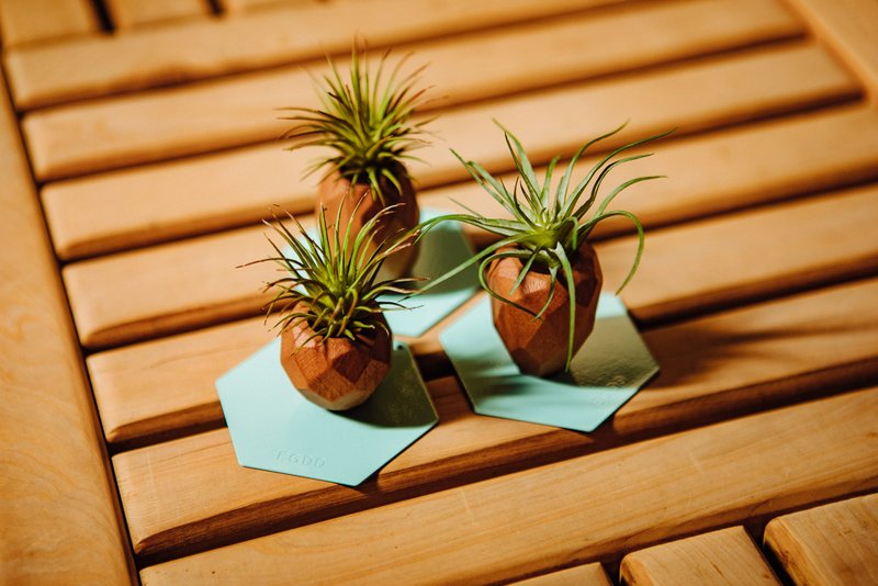 SNAP FROOTS 磁吸原木植物盆 - 木草莓 - 花瓶/陶器 - 木头 咖啡色