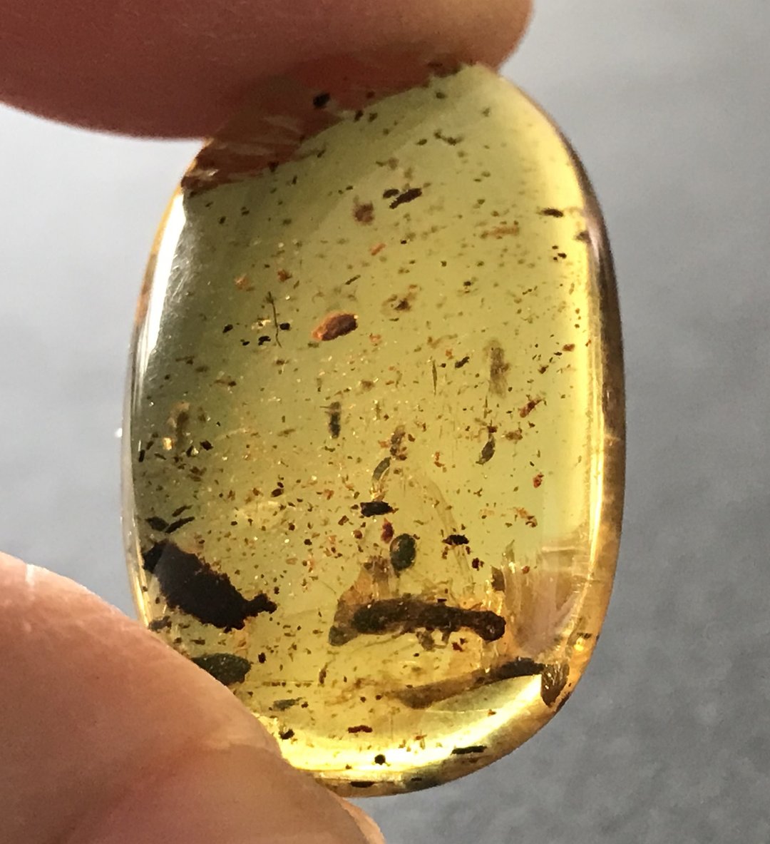 天然缅甸琥珀 虫珀2.26克 植物珀 Myanmar Amber 原石 琥珀白垩纪 - 吊饰 - 半宝石 金色