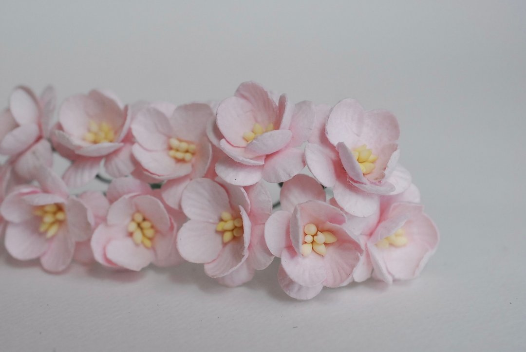 纸花，50 片，尺寸 2.5 厘米。樱花，樱花纸，粉红色。 - 木工/竹艺/纸艺 - 纸 粉红色