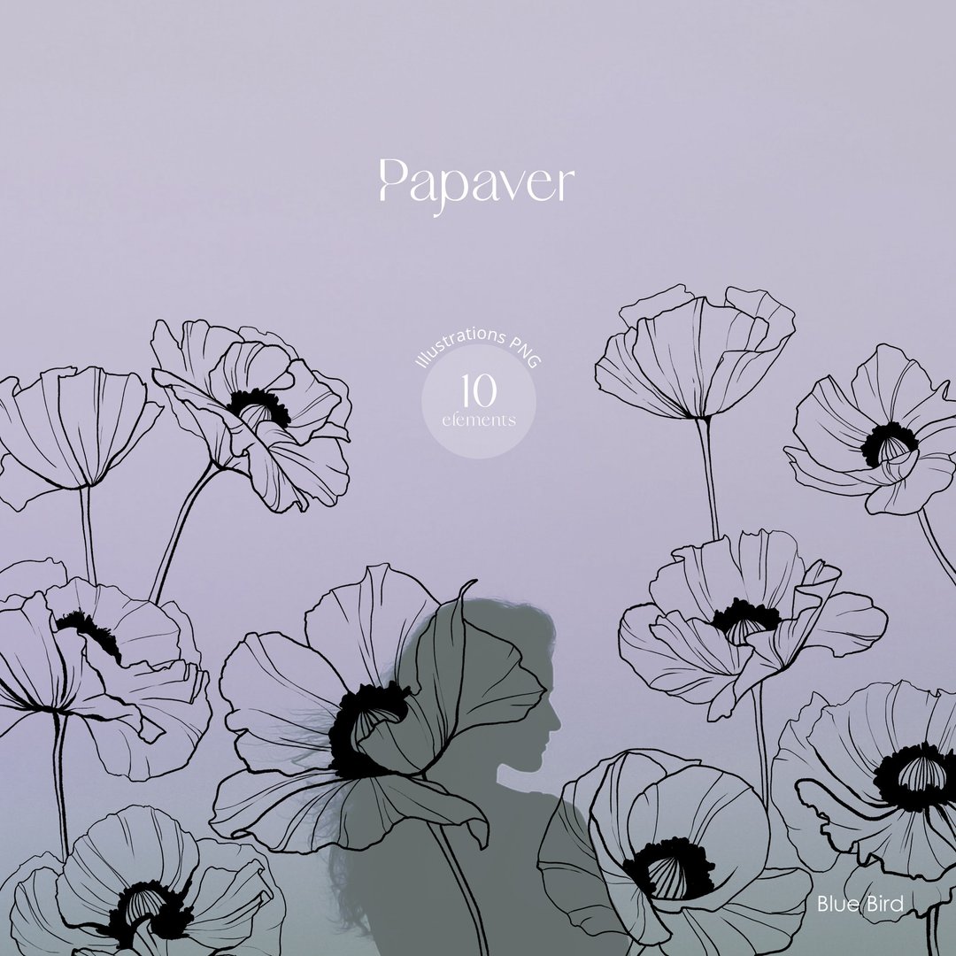 Poppy flowers. Electronic file - 其他数码设计 - 其他材质 