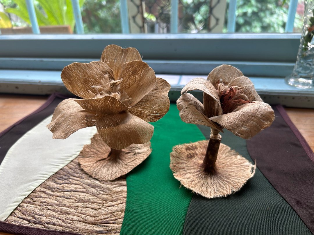 【工艺体验】构树皮扩香花制作体验-黑色隽永X菸花屿啡 - 植栽 - 环保材料 