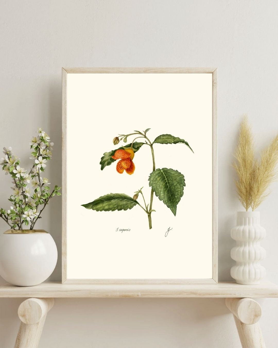 凤仙花植物画 手绘野花挂画 - 电子手绘真人画像/绘画/插画 - 其他材质 
