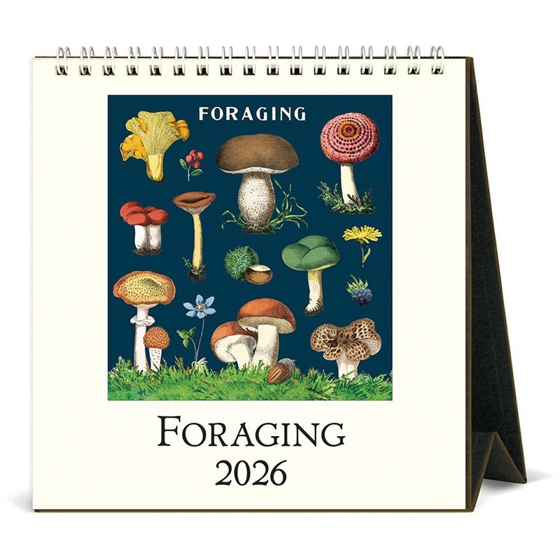 (预购) Cavallini & Co.  2026 桌历\月历 FORAGING - 年历/台历 - 纸 多色