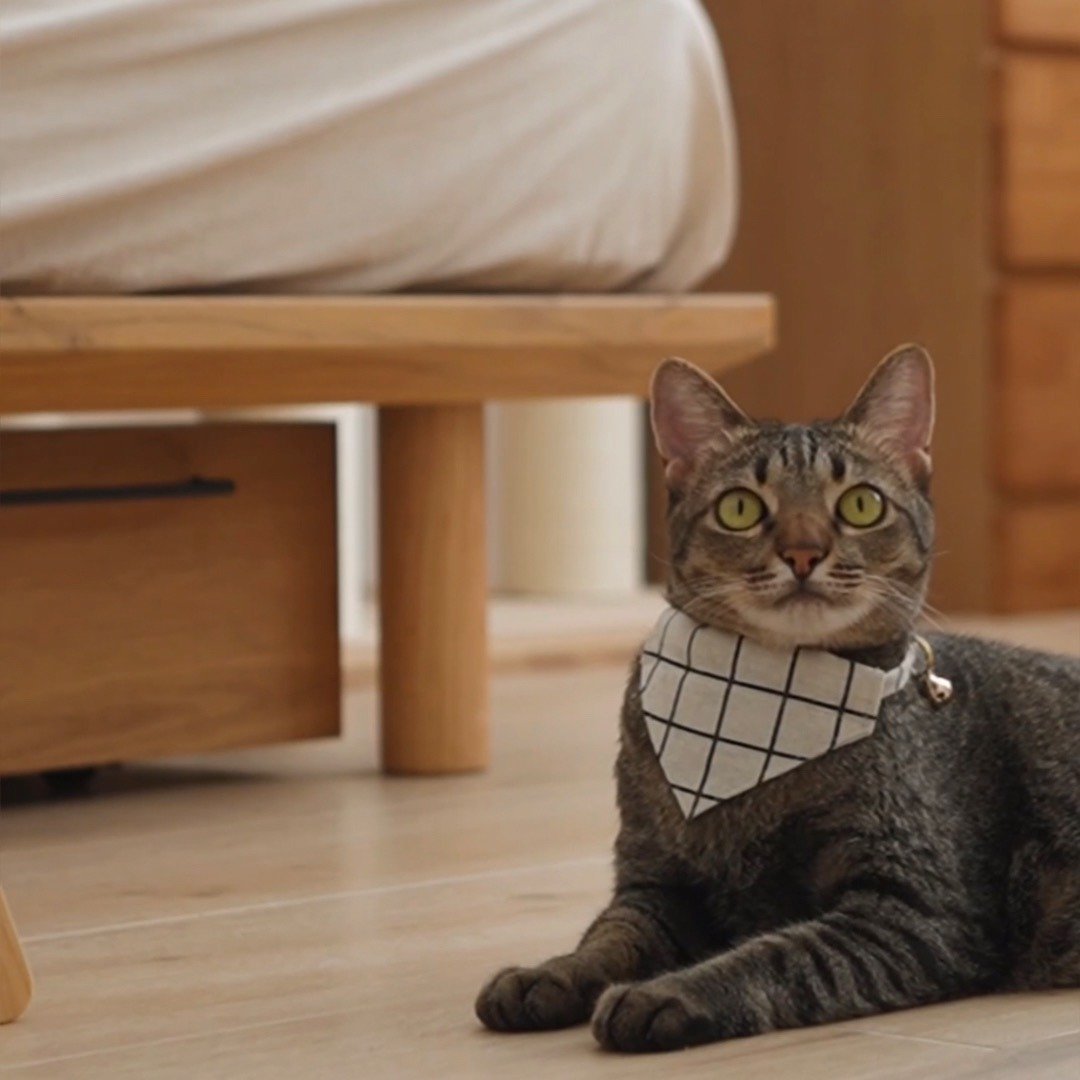 简约手工定制猫咪项圈 | Black Grid Bandana Cat Collar - 项圈/牵绳 - 棉 白色
