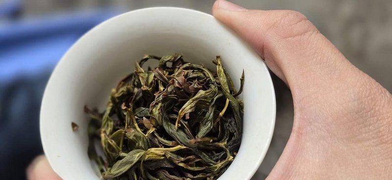 凤凰单丛品评分享会(台中班) - 其他 - 其他材质 