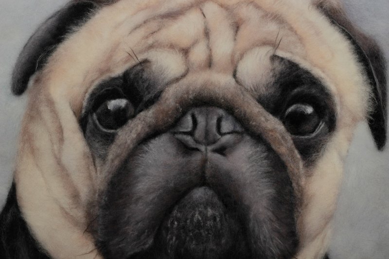 来自照片的逼真的毡制狗肖像、圣诞礼物包装、定制礼物 - 订制画像 - 羊毛 黑色