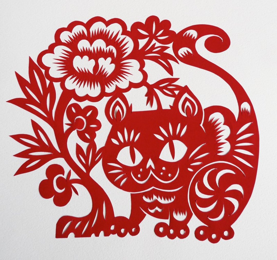剪纸【正午牡丹】希求富贵 - 其他 - 纸 红色