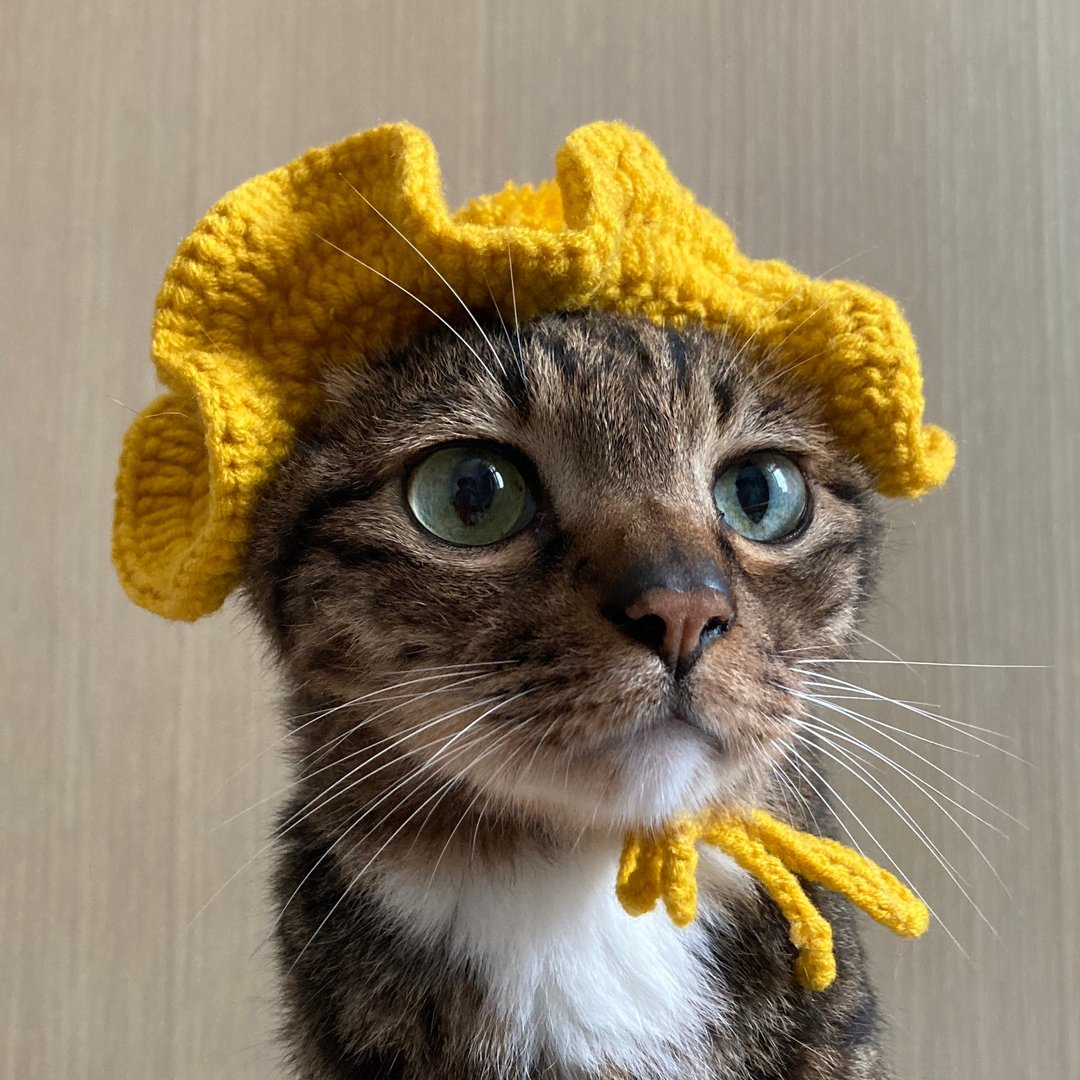 【小洋帽・フロッピーハット】宠物饰品 猫咪/狗狗 -  毛球小洋帽 - 衣/帽 - 其他材质 黄色