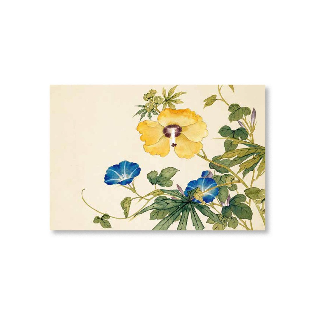 【明信片・Postcard】沈振麟・十二月花神 秋葵牵牛花 - 卡片/明信片 - 纸 卡其色