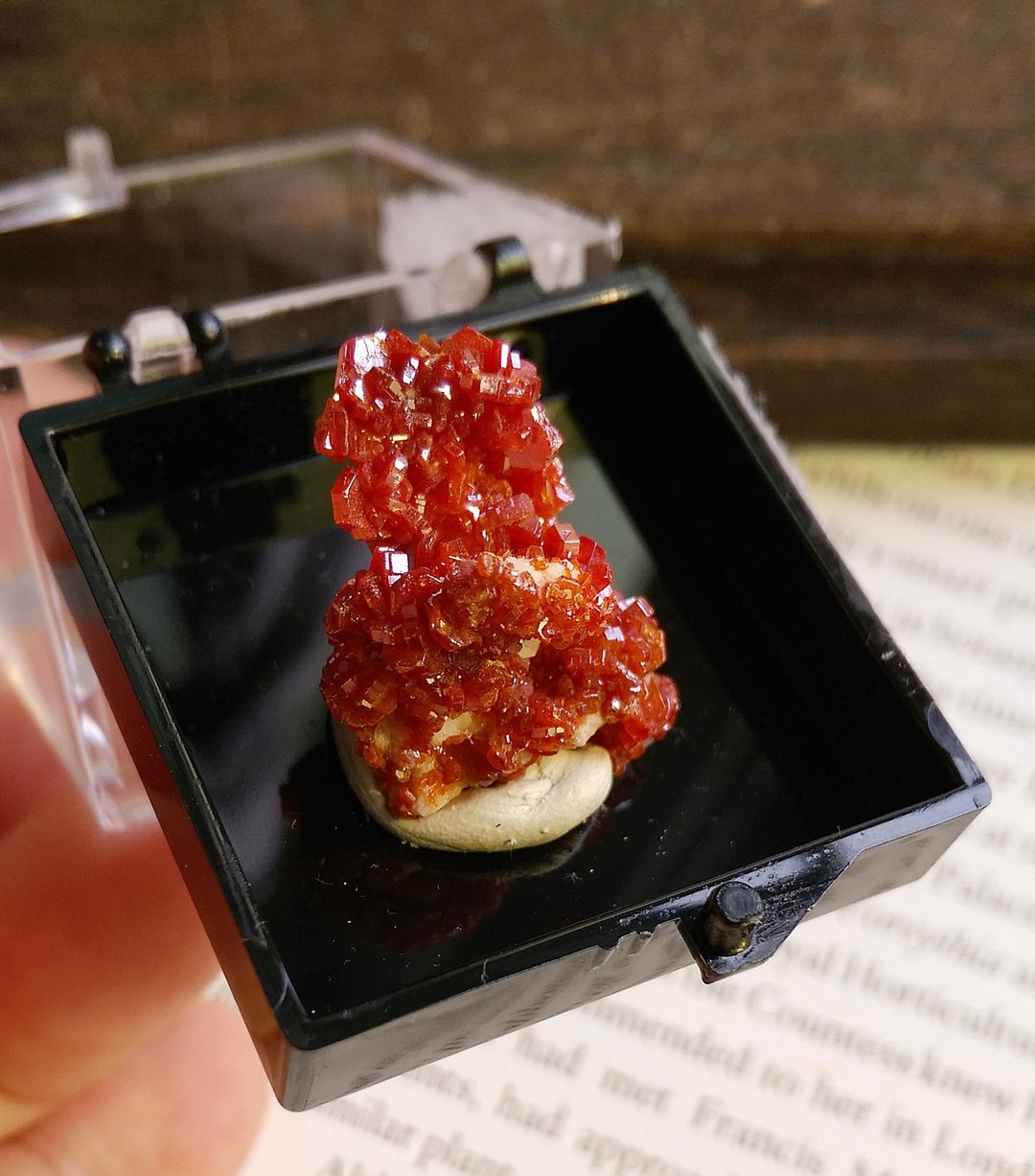 Vanadinite 摩洛哥产地 钒铅矿 天然矿石 原矿 标本盒 - 摆饰 - 其他材质 