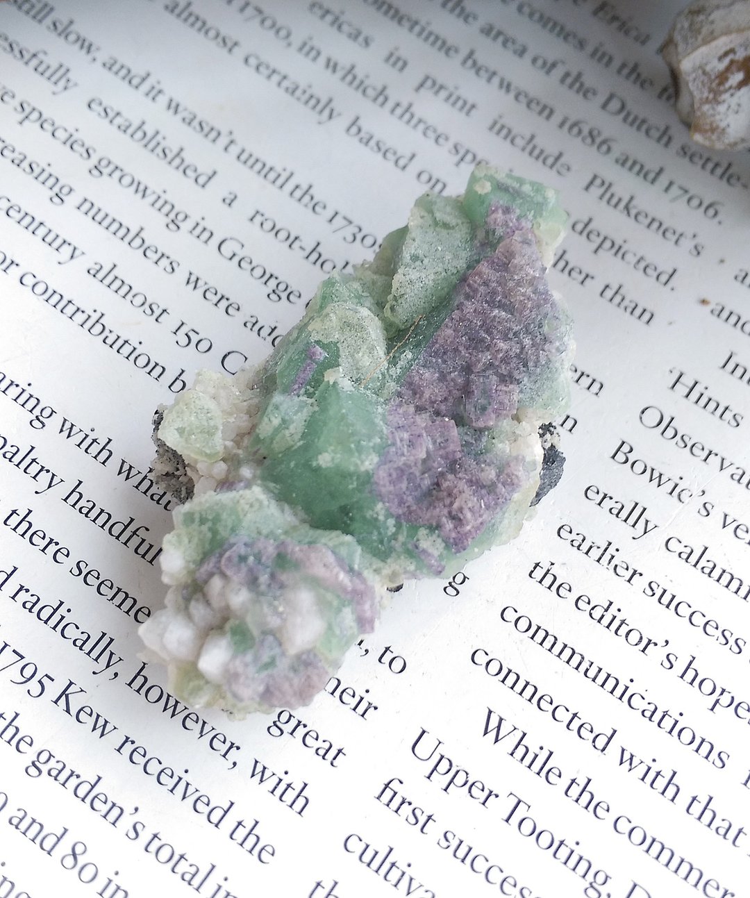 Fluorite 内蒙产地  紫绿色双色萤石 方解石共生 天然矿石 原矿 - 摆饰 - 其他材质 