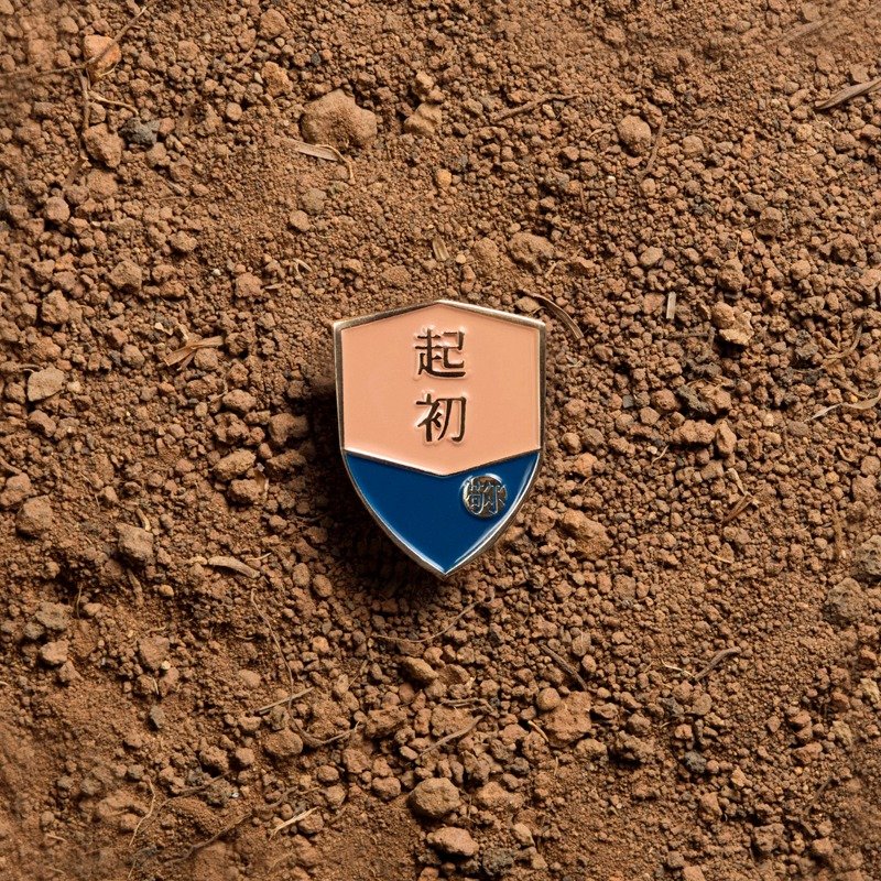 〔SALUTO．敬你〕说到做到系列 / 徽章 / 起初 - 胸针 - 其他金属 绿色