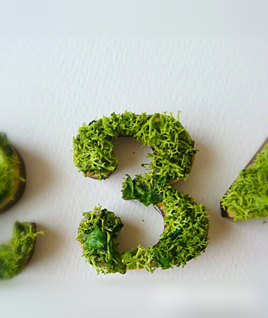 Wooden number object (moss) 5 cm /３x 1 piece - 摆饰 - 木头 绿色