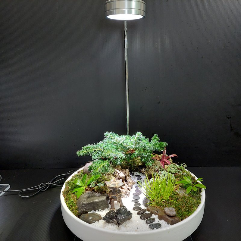 和风庭园盆景 Ak-3030白瓷圆盆        禅风秘境 遐思疗愈 - 植栽/盆栽 - 瓷 