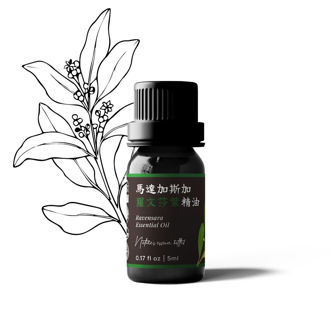 【卡佛香】马达加斯加罗文莎叶精油 - 香薰/精油/线香 - 玻璃 黑色