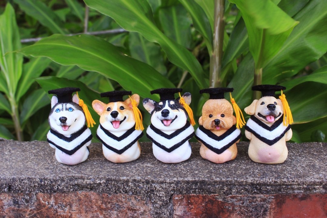 毕业公仔摆设·毕业礼物·学士服·哈士奇.柯基. 贵宾犬.拉不拉多 - 摆饰 - 树脂 