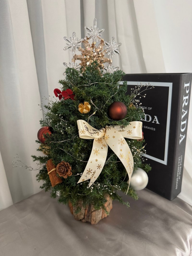 永生圣诞树 圣诞树 雪松 闪灯 圣诞礼物 - 干燥花/捧花 - 植物．花 