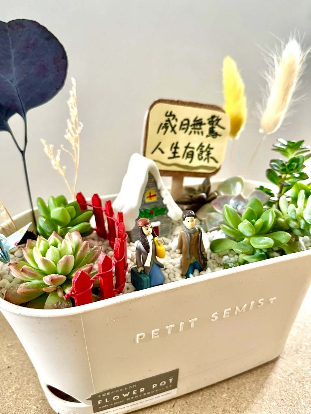 多肉组盆 多肉植物 日式枯山水 向左走向右走 几米 情人节礼 情侣 - 植栽/盆栽 - 植物．花 绿色
