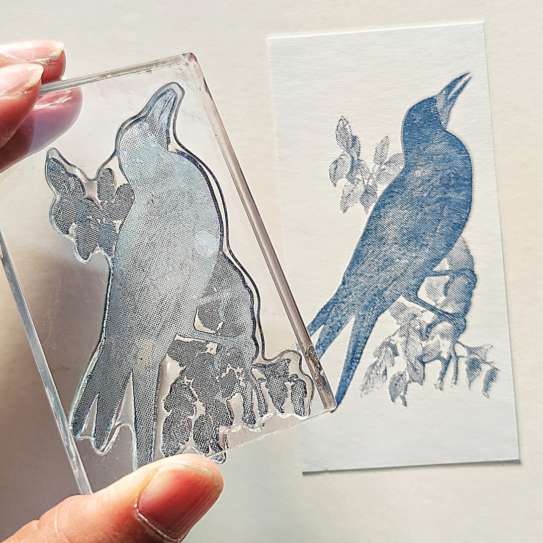 Biology Stamp 宫乌鸦 - 印章/印台 - 树脂 透明