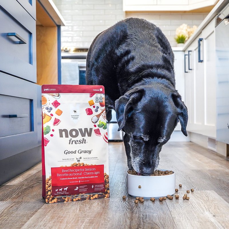 【狗主食】now 牛肉 中型老犬/体控犬 高汤天然粮 干湿两吃 狗粮 - 狗罐头/鲜食 - 新鲜食材 