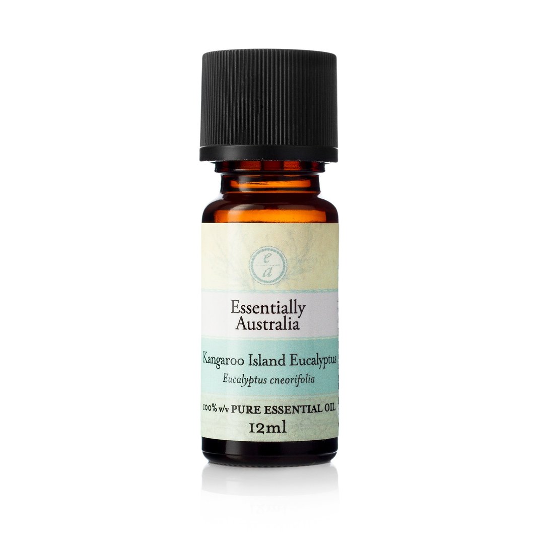 【防疫精油】袋鼠岛尤加利精油 Kangaroo Island Eucalyptus - 香薰/精油/线香 - 植物．花 蓝色