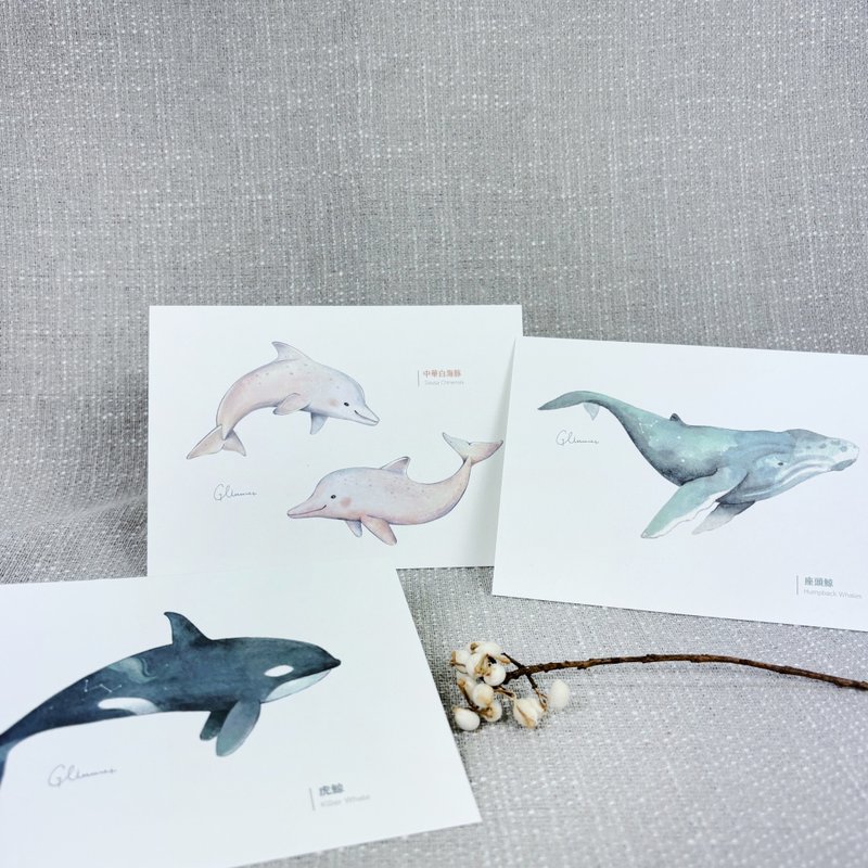 | 微光Ocean | 插画明信片_海洋生物系列 - 卡片/明信片 - 纸 蓝色