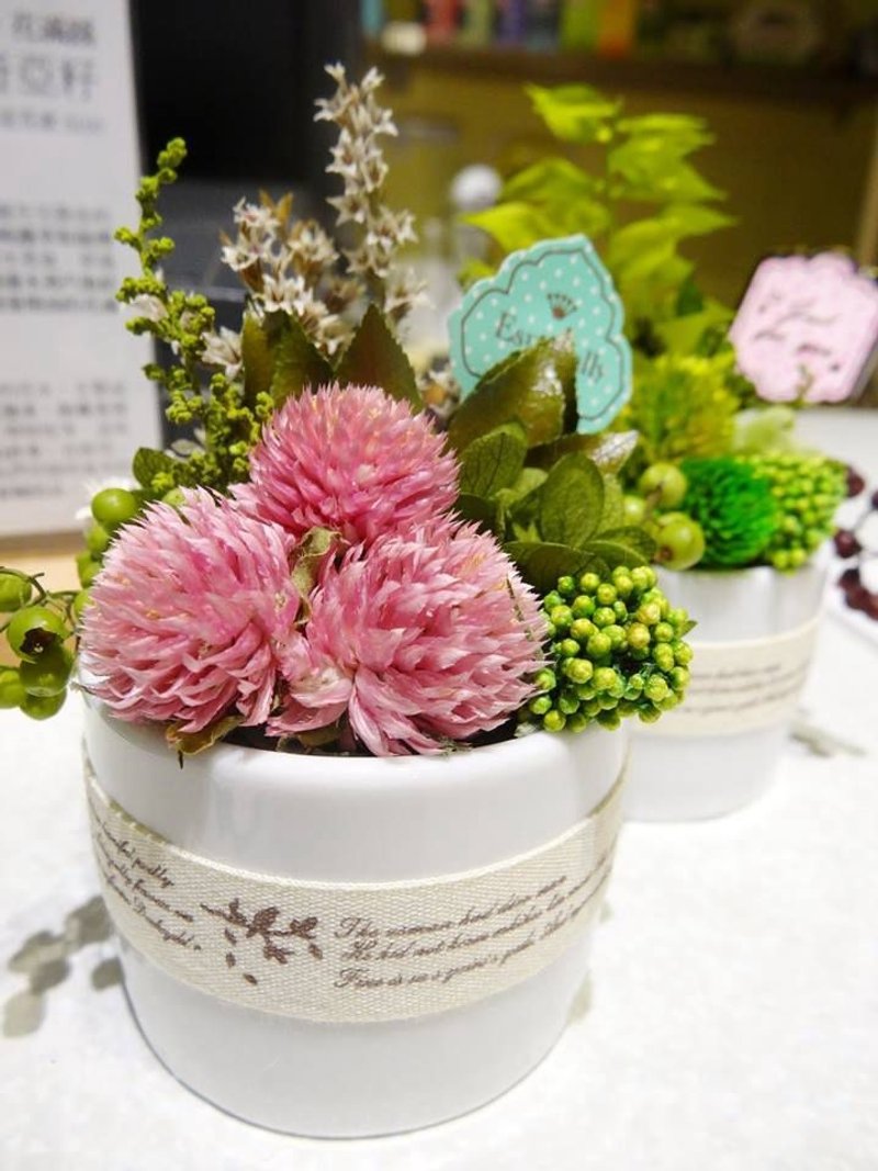  l 迷你疗愈植栽 l *感恩*感谢*疗愈*不凋花.恒星花.永生花*礼物*绿色* - 植栽/盆栽 - 植物．花 