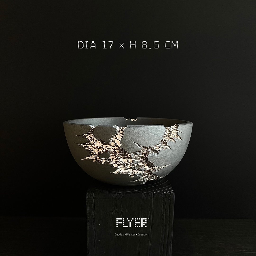FLYER裂纹系列 块根多肉植物陶盆器 龙舌兰象牙宫盆器 - 花瓶/陶器 - 陶 