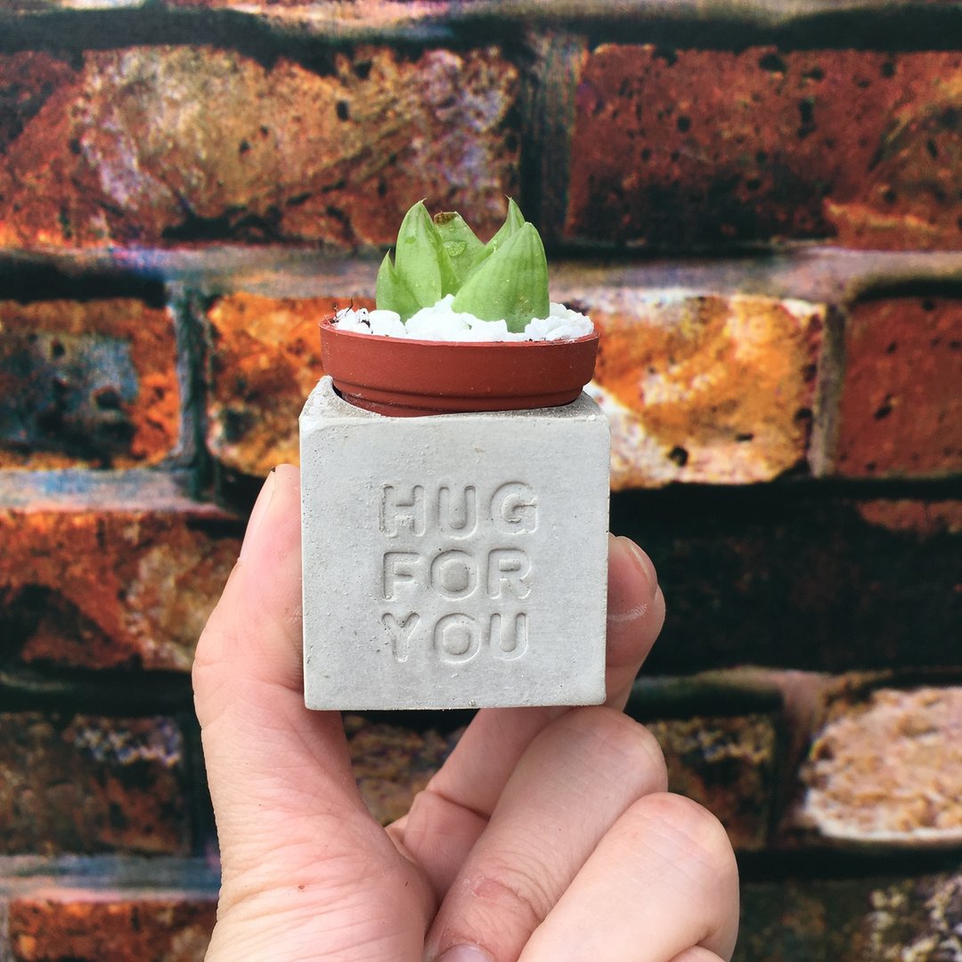 Hug for you 给你个抱抱。多肉磁铁盆栽 - 植栽/盆栽 - 水泥 灰色