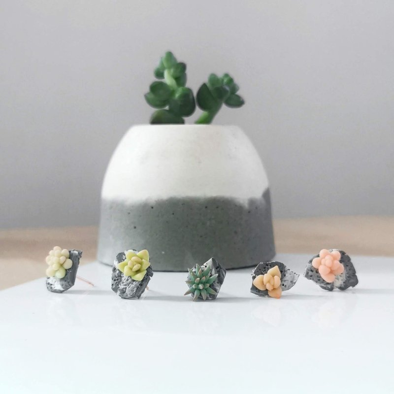 手工软陶仙人掌多肉植物水泥耳环4粒装 - 耳环/耳夹 - 粘土 绿色
