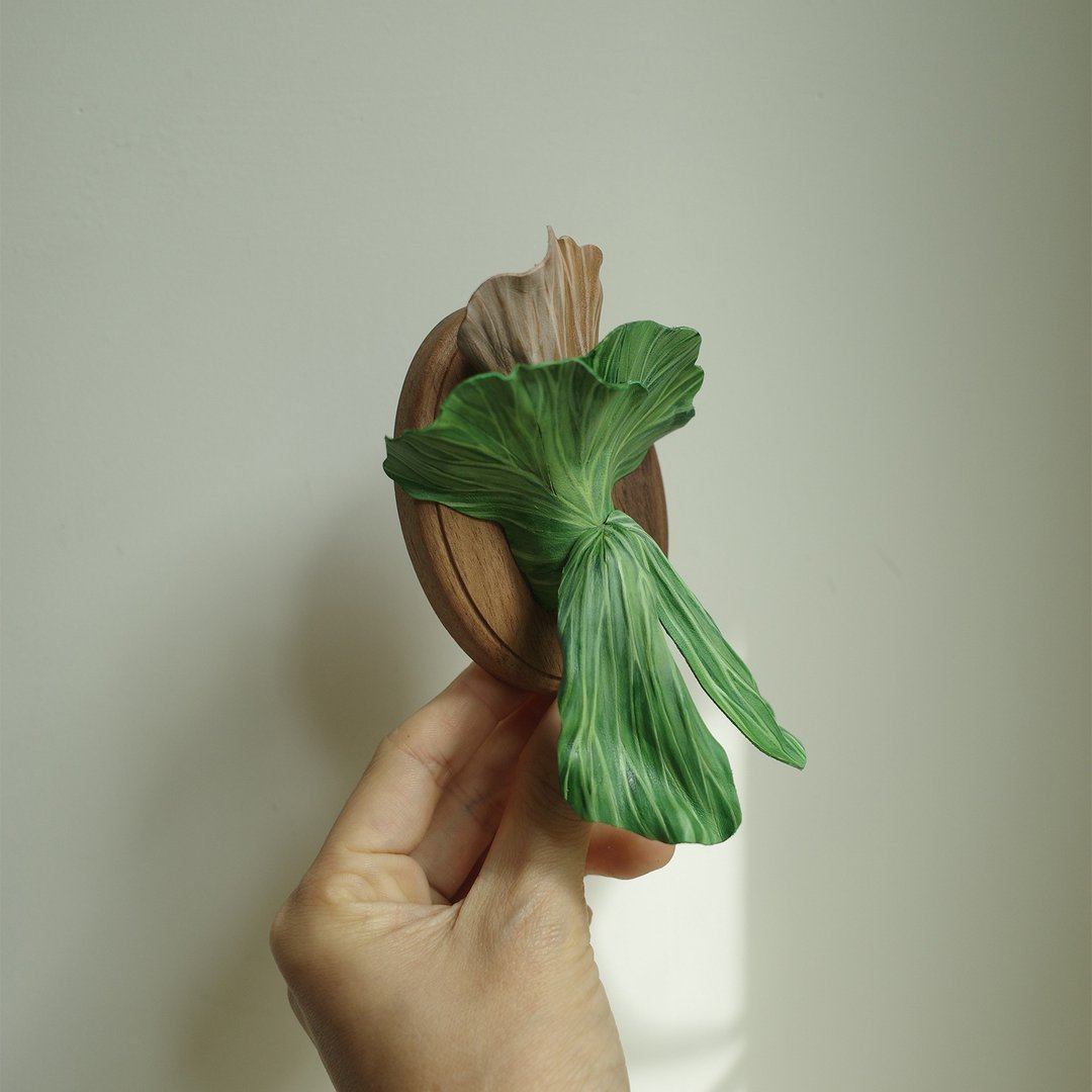 象耳鹿角蕨 platycerium elephantotis - 植栽/盆栽 - 真皮 