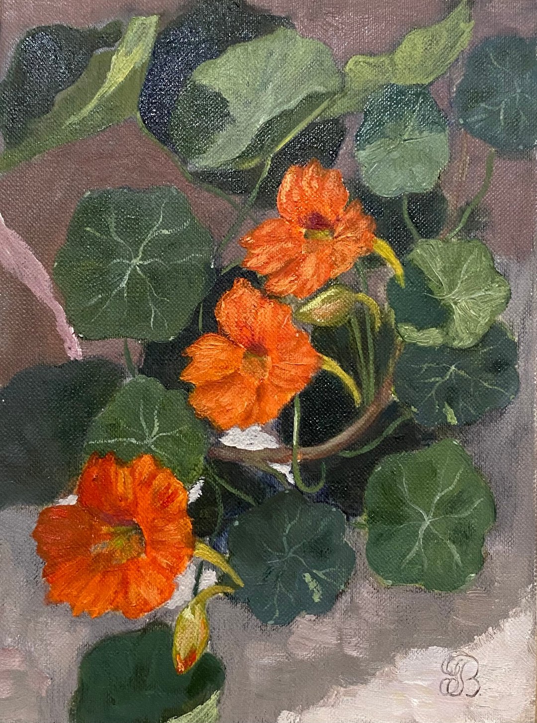 旱金莲油画写实花卉艺术原创油画 15 x 20 厘米 - 墙贴/壁贴 - 纸 红色