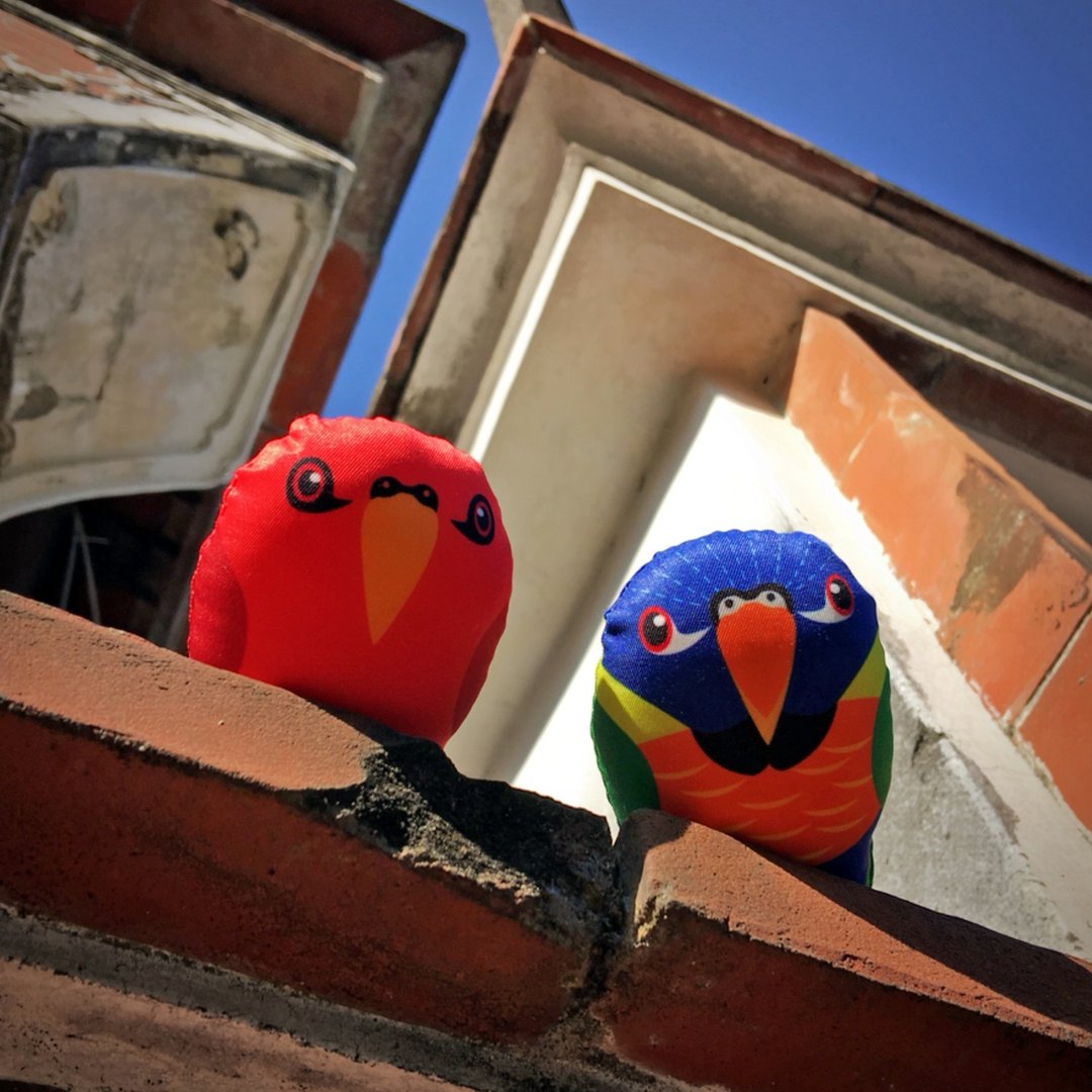DIY手作鹦鹉 ∣ 吸蜜鹦鹉 Lorikeet · 纸镇手作材料包 - 其他 - 其他材质 多色