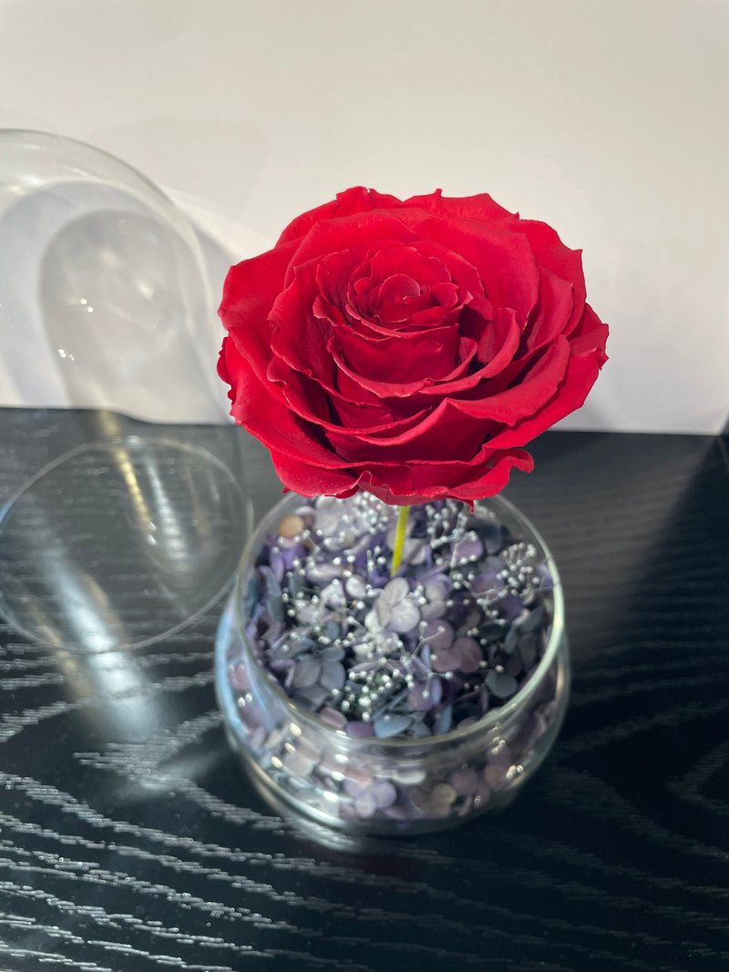 【Fouetté x TeAmo Flowers】经典玻璃瓶 星球玫瑰 - 摆饰 - 植物．花 红色