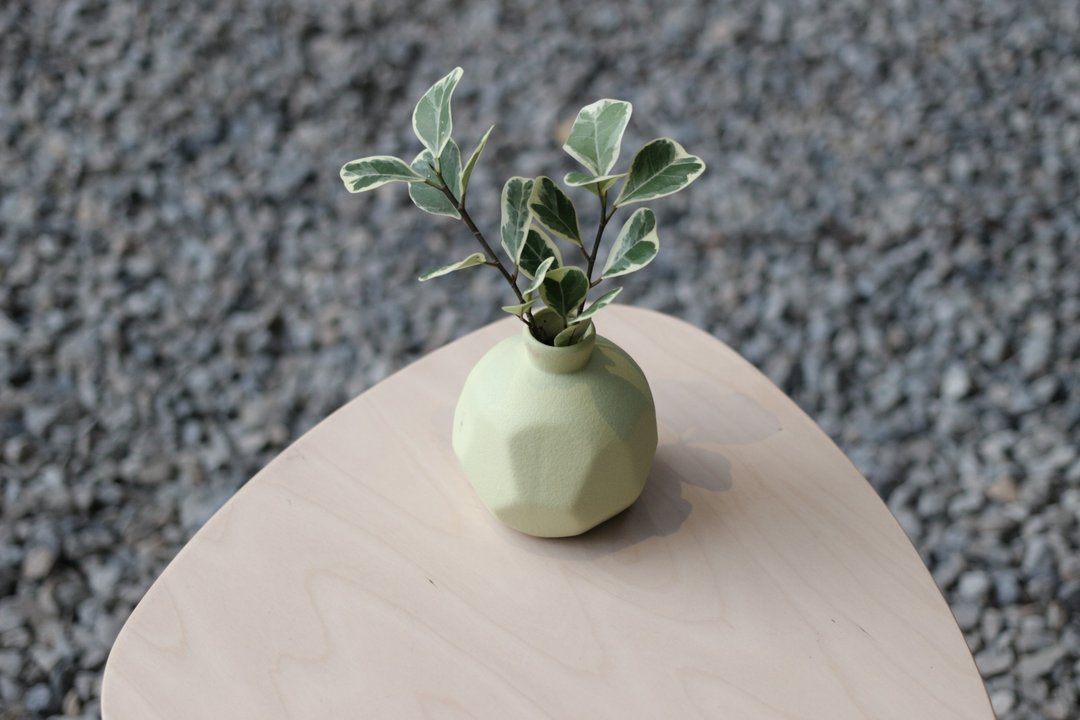 水培植栽│斑叶三角榕_室内植物 磨砂陶瓷几何花瓶 黄 - 植栽/盆栽 - 陶 