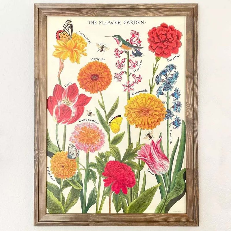 Cavallini & Co.  海报\包装纸 花卉系列(多款) - 海报/装饰画/版画 - 纸 多色