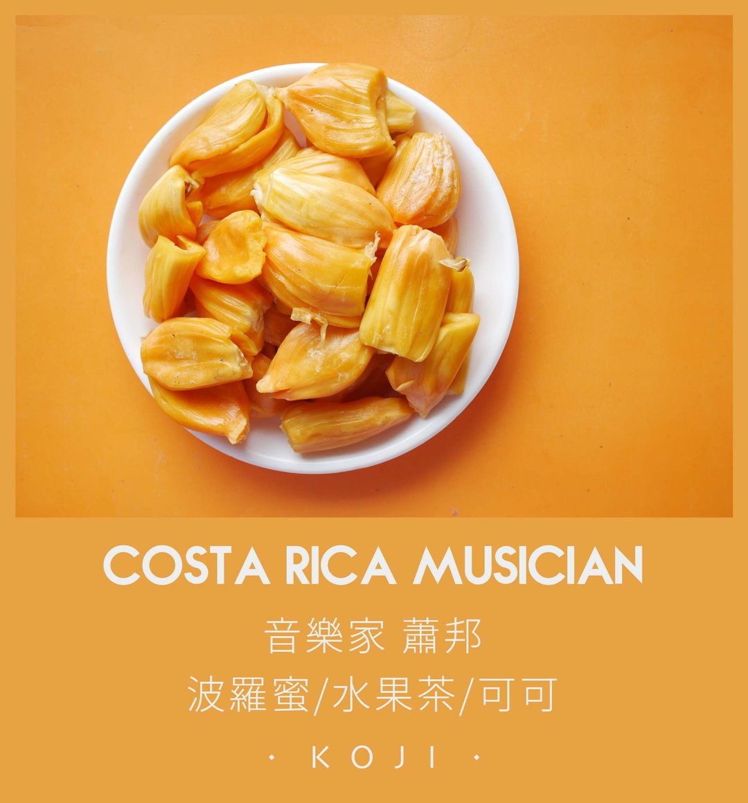 音乐家 萧邦 浅烘焙 葡萄干蜜处理 咖啡豆 挂耳包 - 咖啡 - 新鲜食材 白色