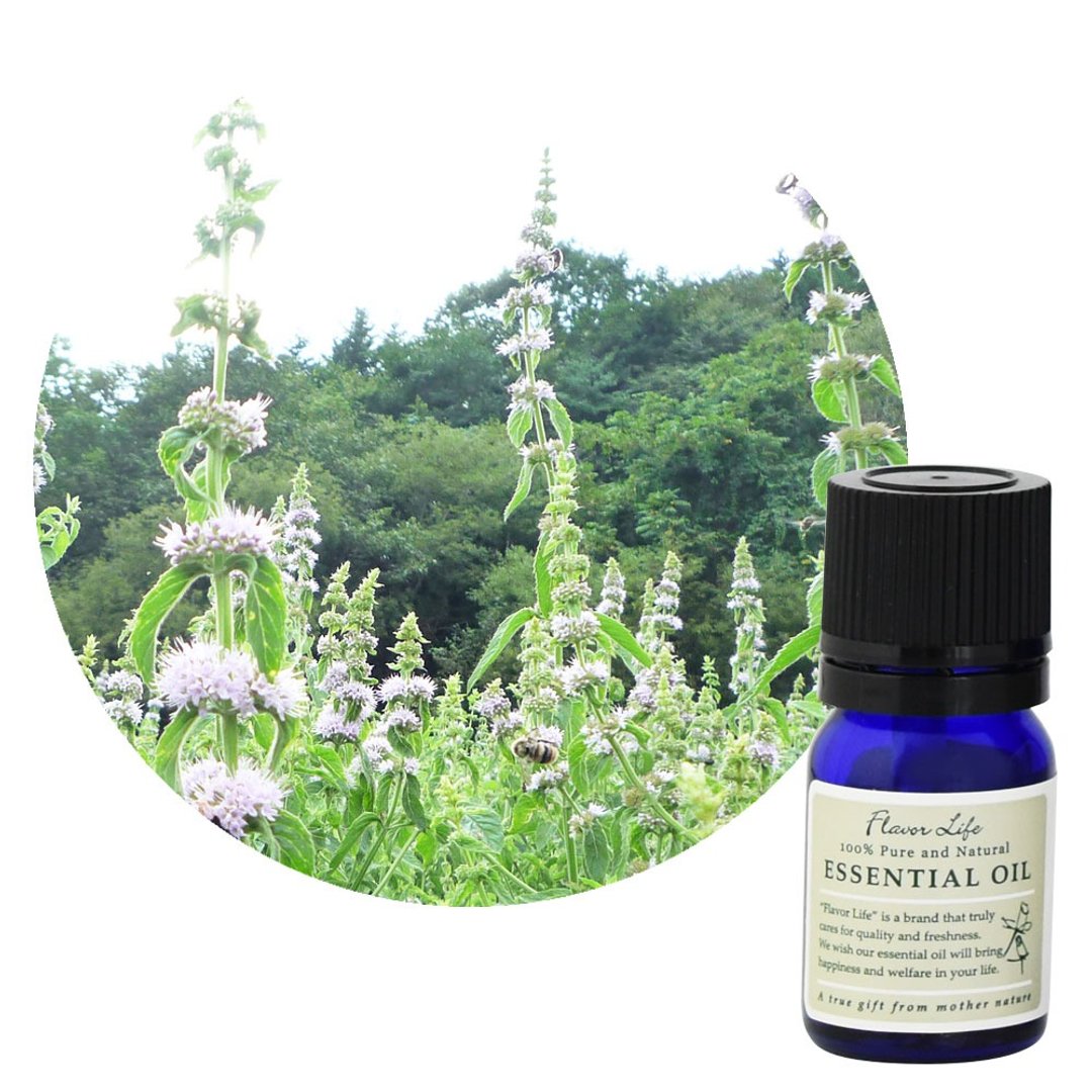 和精油【日本薄荷】Japanese mint 来自北海道 - 香薰/精油/线香 - 精油 