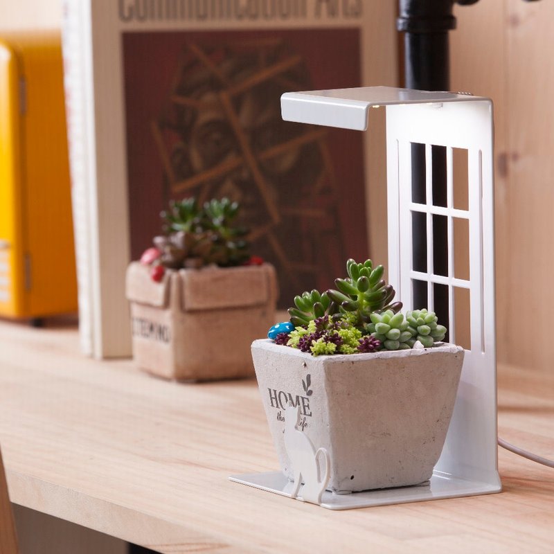 Mini Garden LED迷你植物灯/Kitten(附多肉植物&elho盆器) - 植栽/盆栽 - 其他金属 白色