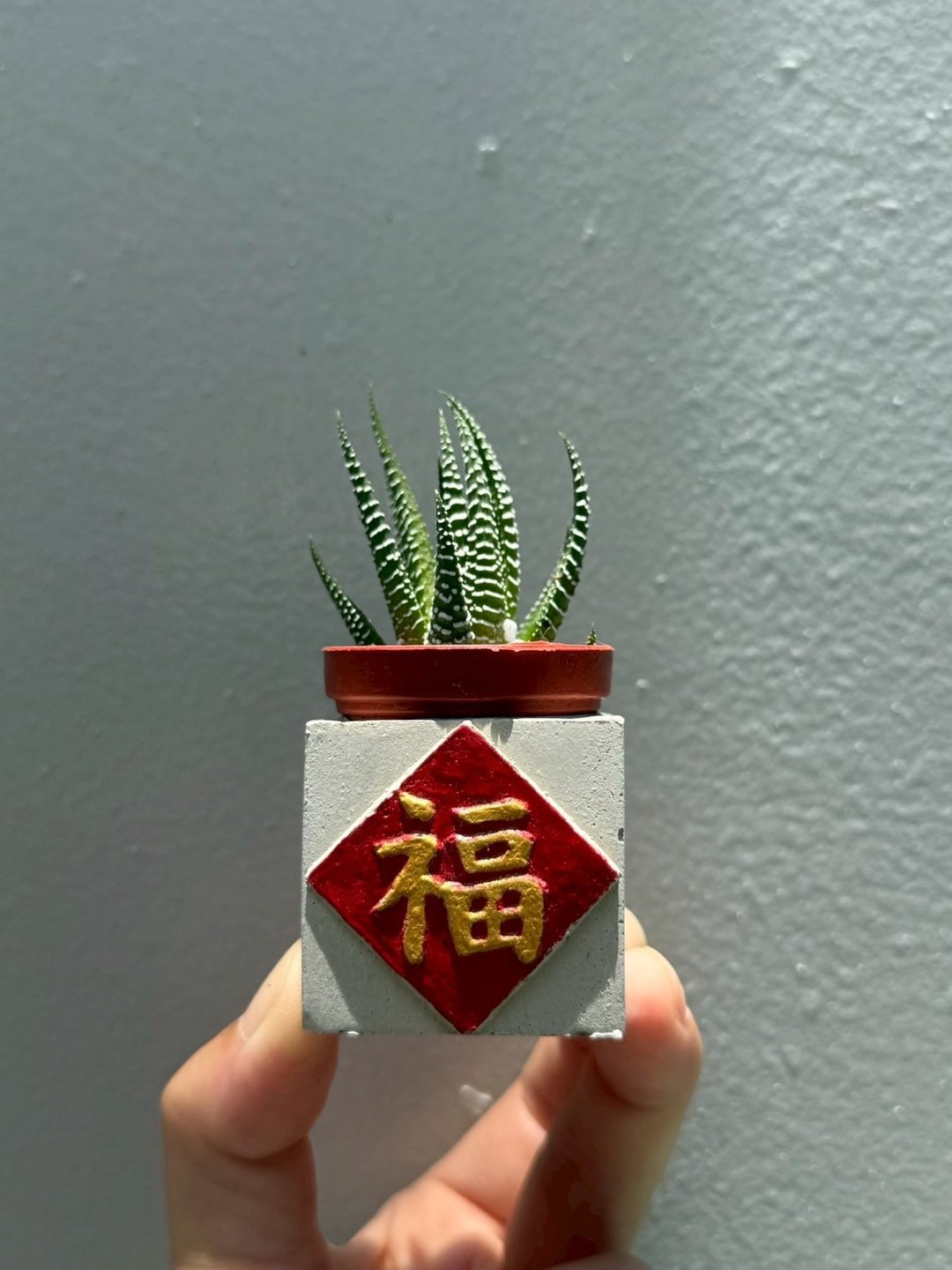 福  红通通!! 新年磁铁盆栽 送多肉植物 - 植栽/盆栽 - 水泥 红色